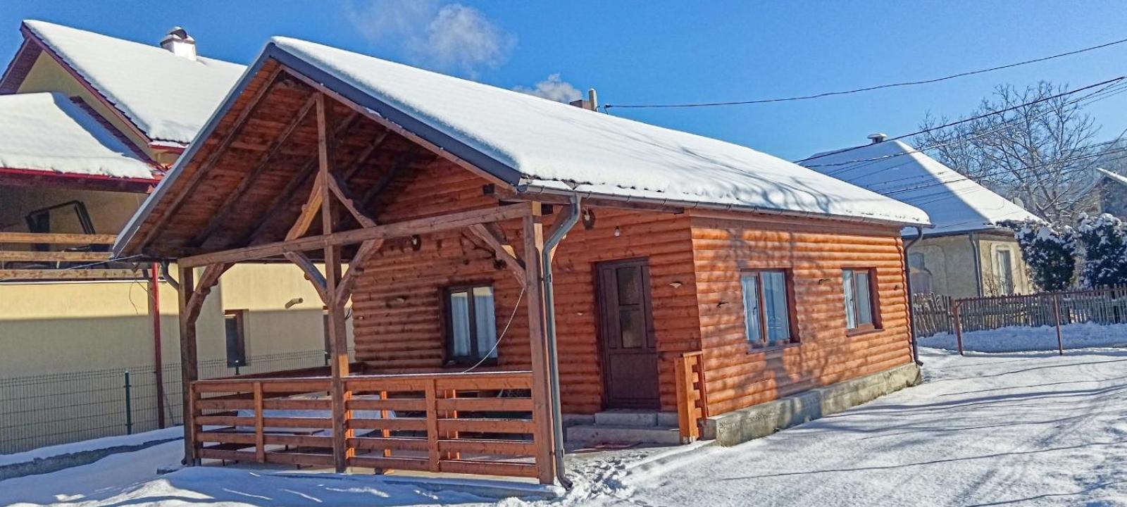 Casuta Adelina Borsa Villa Exterior photo